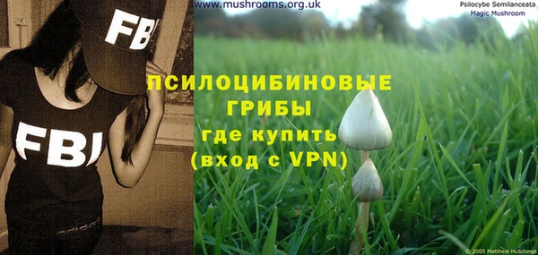 не бодяженный Мегион