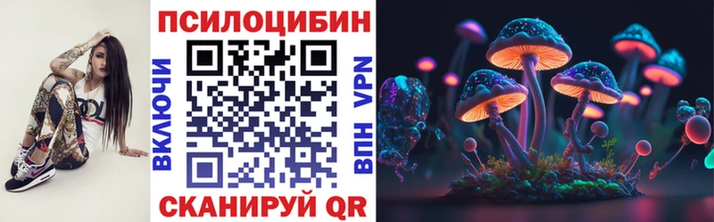 Псилоцибиновые грибы прущие грибы  Чаплыгин 